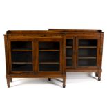 A pair of Victorian rosewood and polychrome painted glazed bookcases, inlaid boxwood lines,