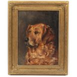 English School circa 1900/Study of a Golden Retriever/monogrammed/oil on canvas,