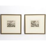 After 17th Century School/Peafowl/Storks/a pair, etchings,