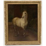 English School circa 1900/Study of a Grey Horse/initialled /oil on canvas,