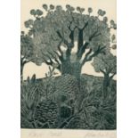 Allan Gale (New Zealand, born 1947)/Kauri Cones/signed and inscribed/woodblock print, 16.