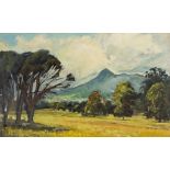 Philip Niel Erskine (South African 1933-2013)/An Early Summer View of Botmanskop,