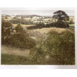 Graham Evernden (British, born 1947)/Wayside/Rough Pasture/Shaded Ferns/signed,