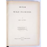 Loudon (Mrs Jane) British Wild Flowers, 1846, first edition, 4to, half green calf, worn,