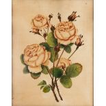 19th Century School/Roses/plush work/watercolour,