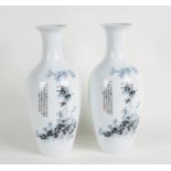 A pair of Chinese vases decorated with bamboo and rockwork in transfer-printed overglaze enamels