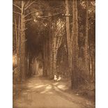 An early 20th Century American sepia photograph, children in a redwood lined lane,