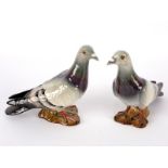 Two Beswick pigeons,