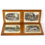 19th Century School/Four canine prints/in birdseye maple frames CONDITION REPORT: