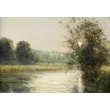 Edward Dawson NEAC (British 1941- 1999)/Morning Sunlight on the River Kennet/signed/oil on board,