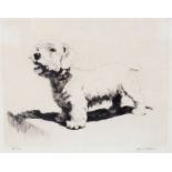 Cecil Aldin (British 1870-1935)/Study of a West Highland Terrier/signed in pencil and numbered