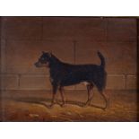 James Loder of Bath (British 1784-1860)/Dick/study of a terrier/inscribed,