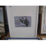 PUFFIN PRINT