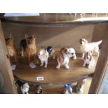 VARIOUS DOG ORNAMENTS (1 SHELF)