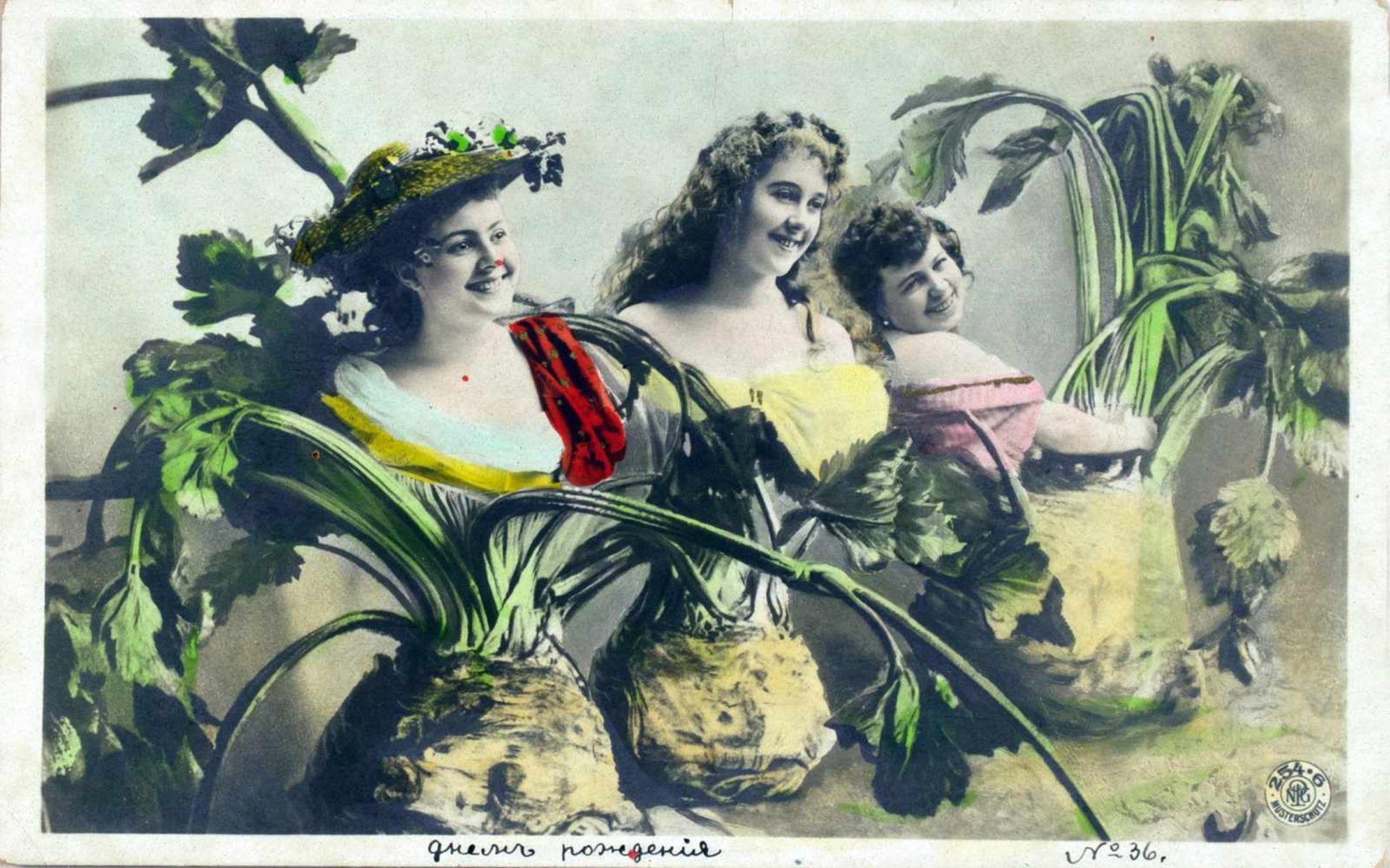 Vegetabile Damen. Sechs Fotomontagen (Vintages, Silbergelatine, rückseitig mit