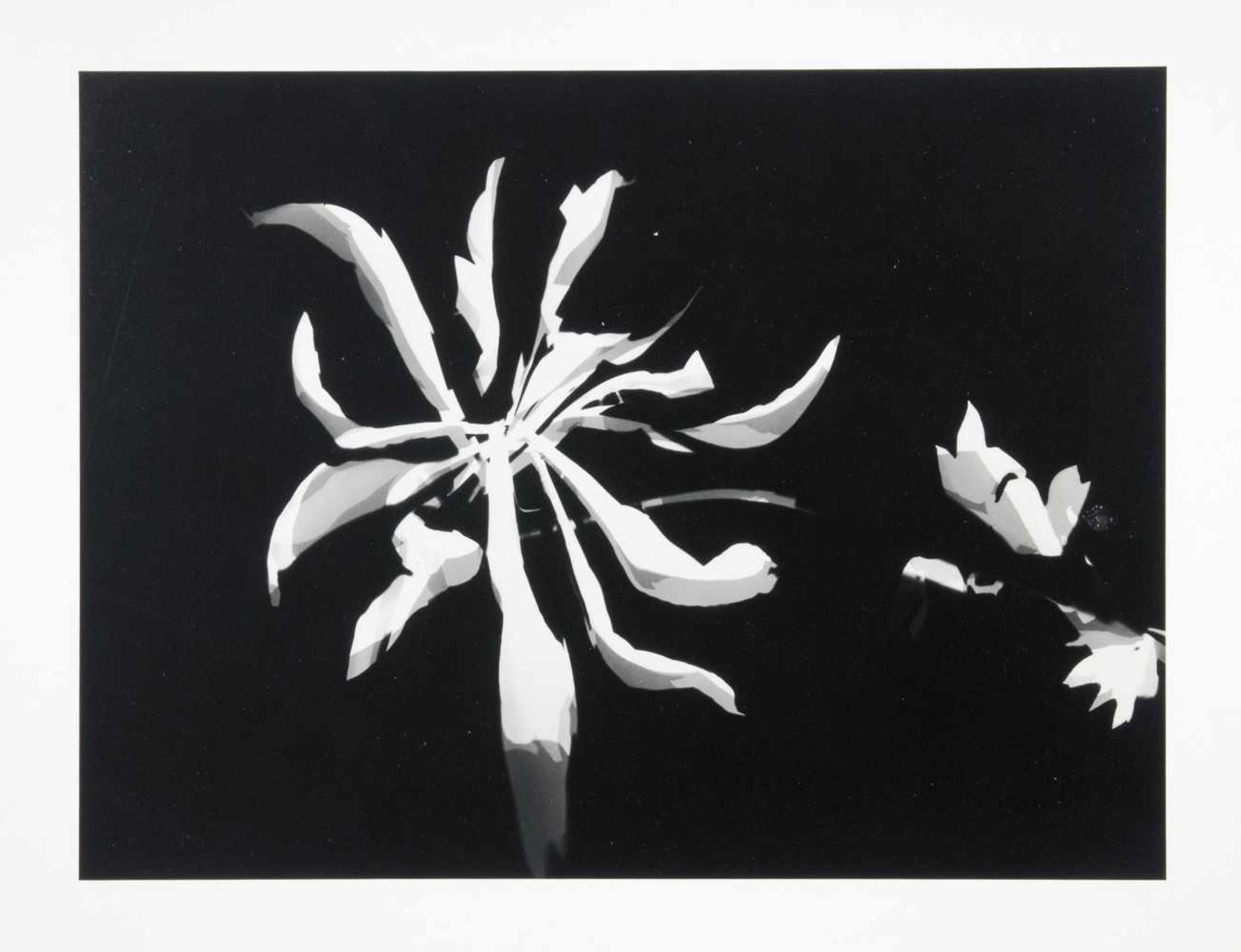 László Moholy-Nagy. Sechs Fotografien. Silbergelatine. Um 1930/1994. 26-28 : 20 cm (40 : 30 cm). - Image 6 of 6