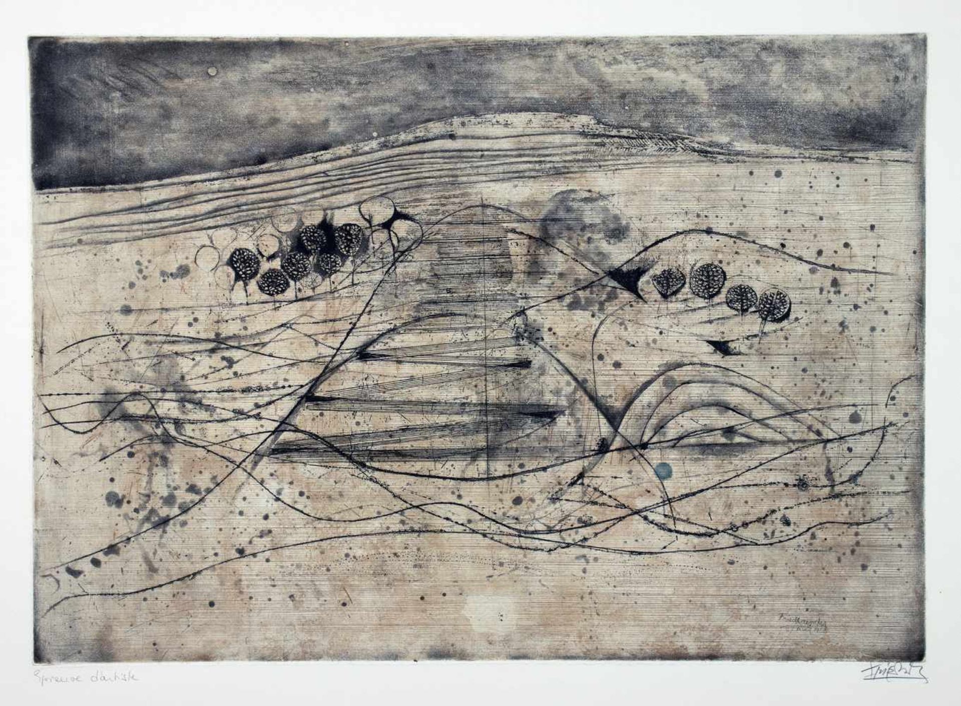 Johnny Friedlaender. Paysage boise. Farbradierung. 1951/1955. 34,0 : 48,2 cm (50 : 65 cm).
