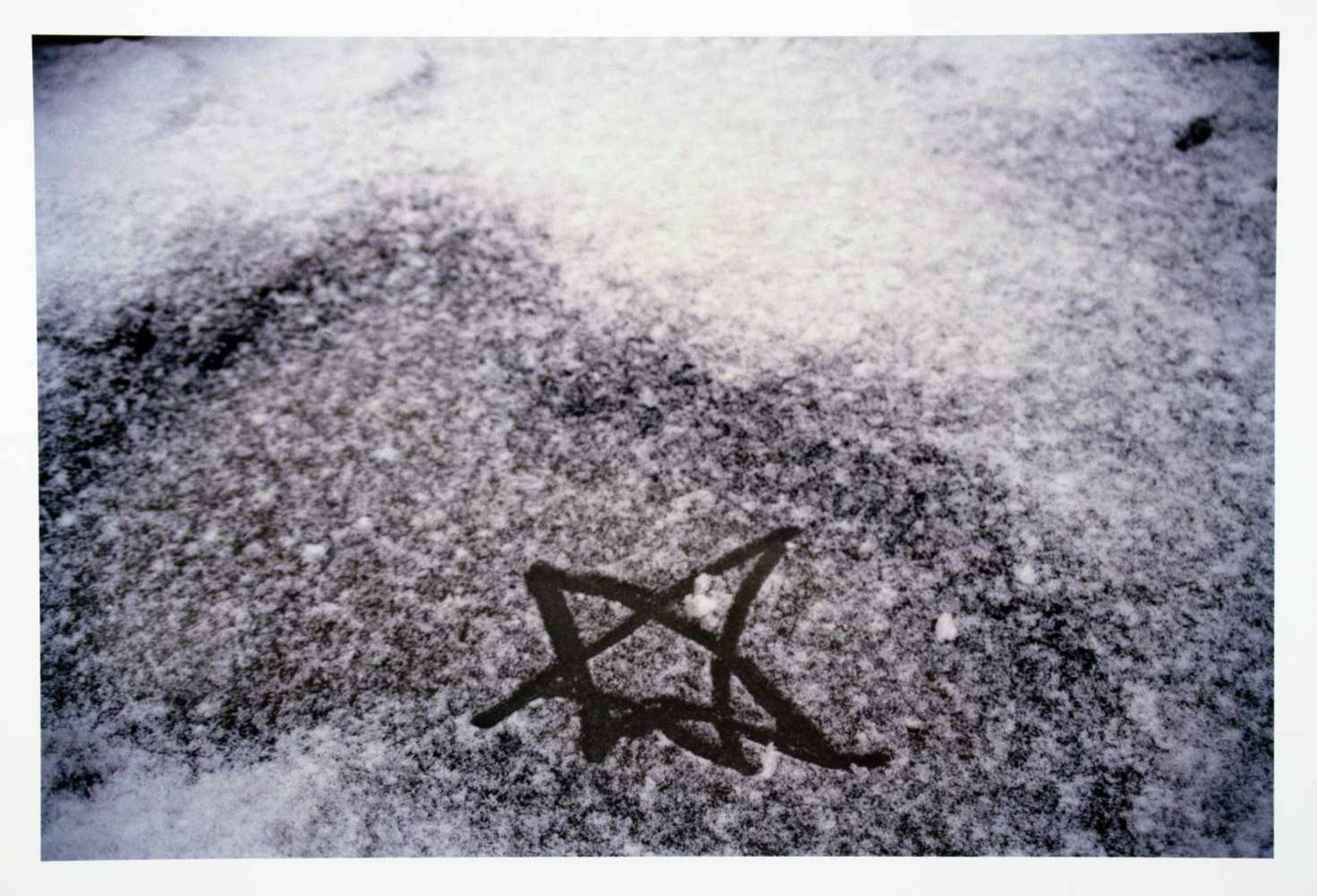 Walter Dahn. Sommer wie Winter. Sechs Farbfotografien. 1999-2003. 23,9 : 35,8 cm (28,0 : 40,0 cm).