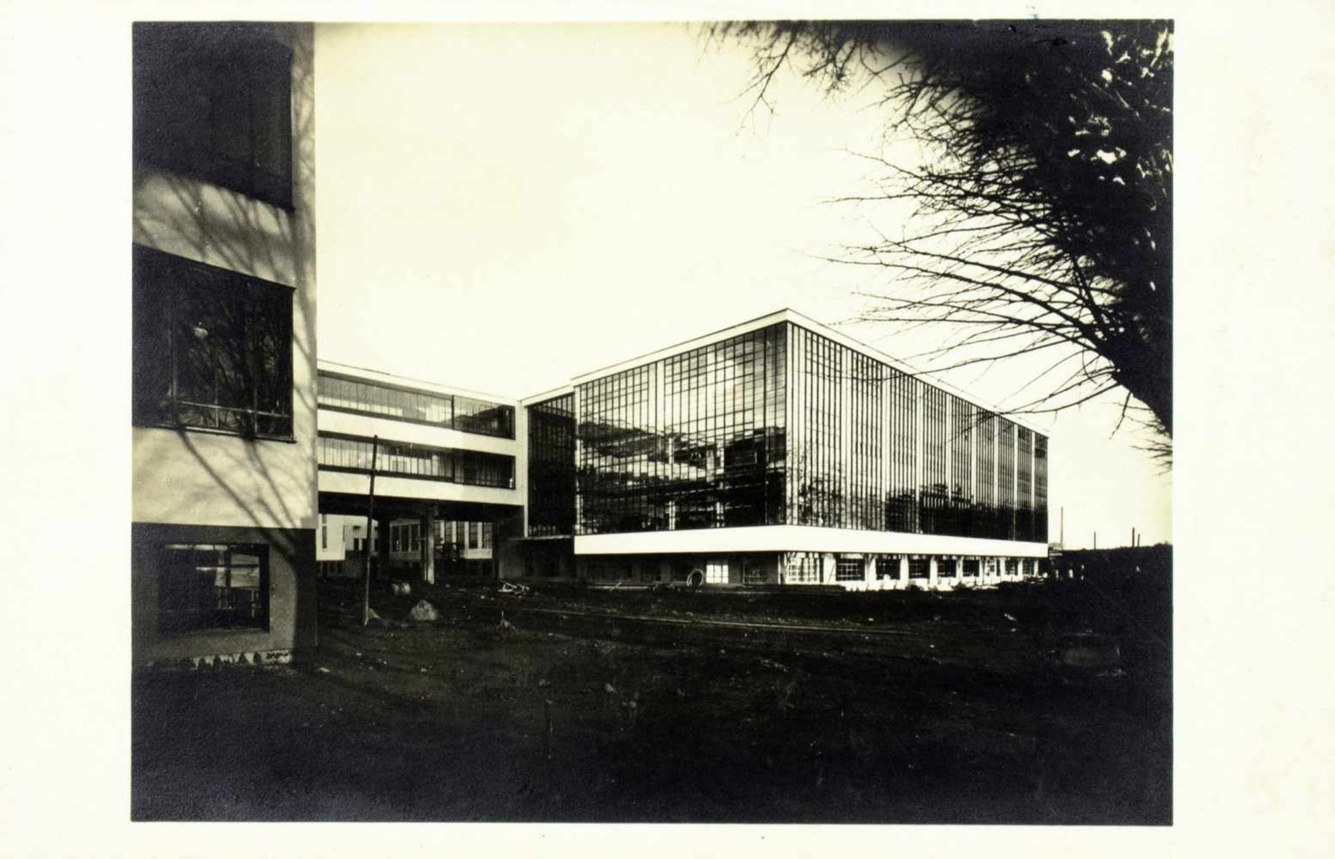 Lucia Moholy. Bauhausneubau, Dessau. Werkstättenbau (1925/26). Fotografie (Vintage,