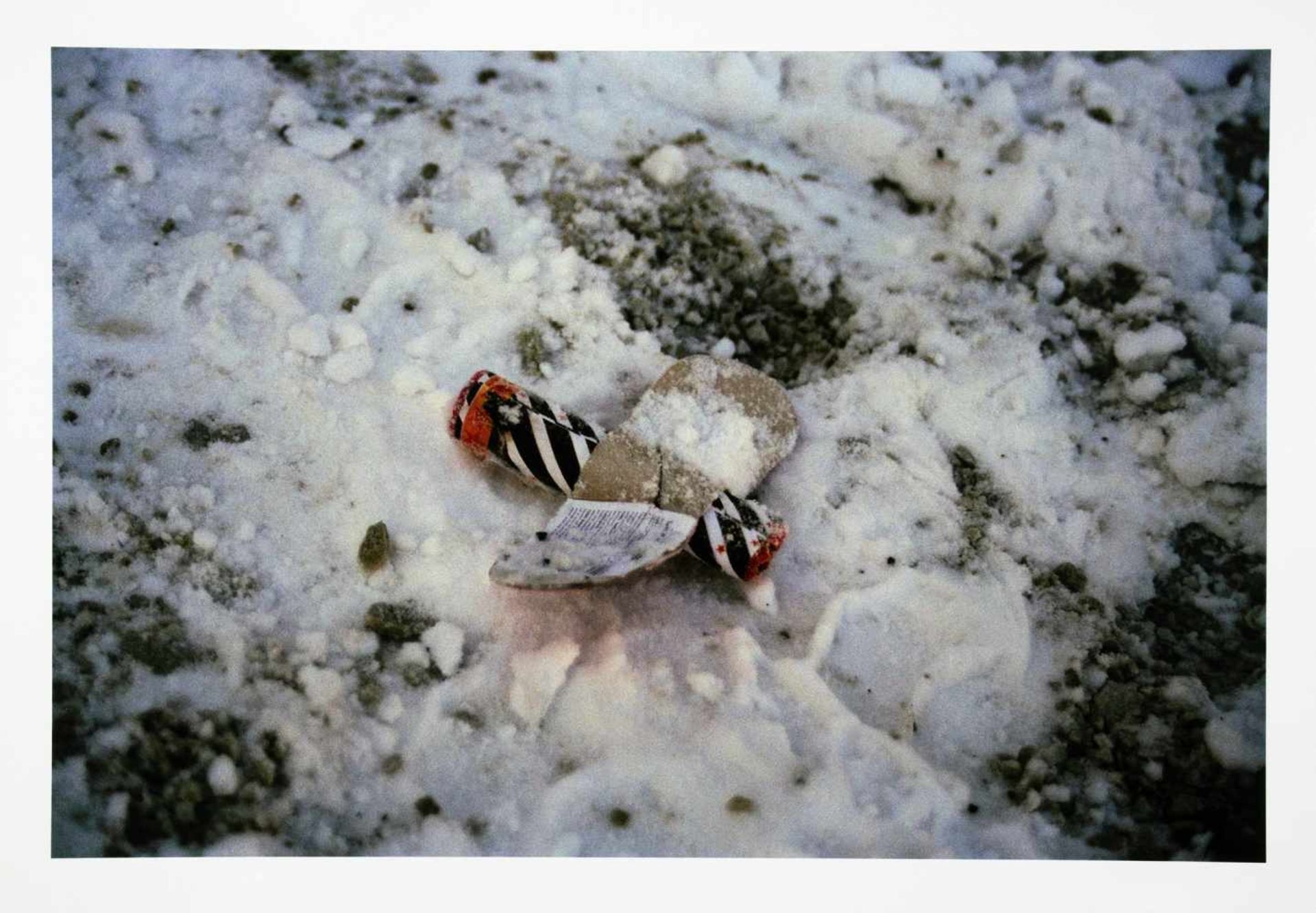 Walter Dahn. Sommer wie Winter. Sechs Farbfotografien. 1999-2003. 23,9 : 35,8 cm (28,0 : 40,0 cm). - Image 5 of 6