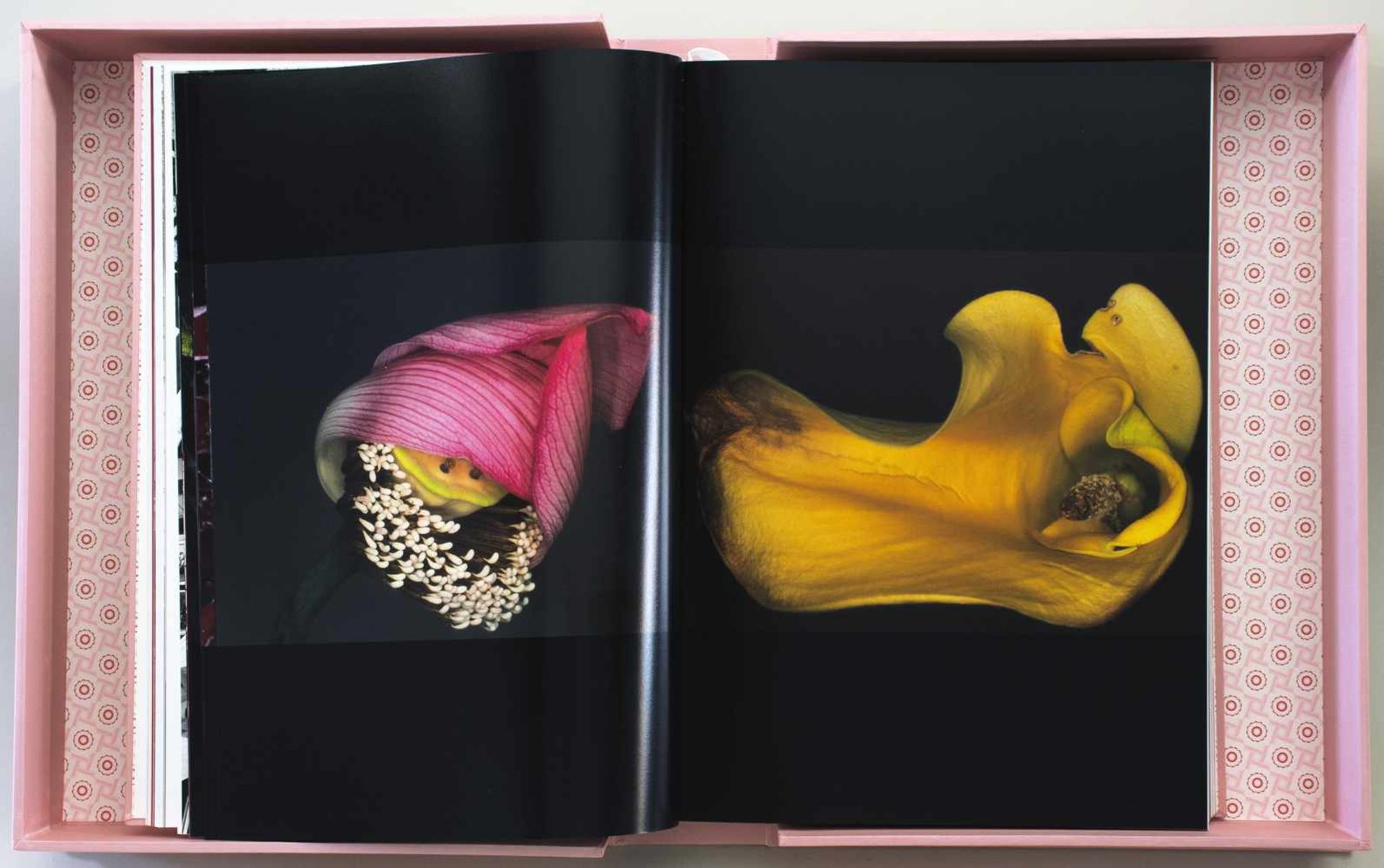 Fotobücher - Araki. Köln u. a., Taschen 2001. Mit unzähligen farbigen Abbildungen nach - Bild 3 aus 4