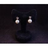 PEARL & DIAMOND EARRINGS