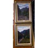 2 OIL PAINTINGS - RURAL SCENES ,