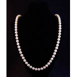 CULTURED PEARLS WITH DIAMOND + PEARL 14K CLASP