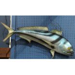 Fish trophy of a Bluefish, 42"l. Provenance: Property from the Spenger's Fish Grotto Collection,