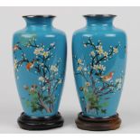 (lot of 2) Pair of Japanese blue cloisonne vases, short neck above ovoid body, decorated with