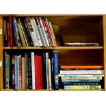 Two shelves of books, mostly relating to Art History and Interior design, including titles such