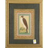 Persian School (20th century), Falcon, gouache, signed "Snah" lower right, overall (with frame):