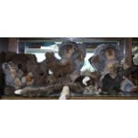 (lot of approx 23) Steiff plush animal group, including koalas, bears, rabbits, a ferret, monkey,
