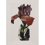 Lowell Nesbitt (American, 1933-1993), Burgundy Iris, 1980, screenprint, pencil signed and dated