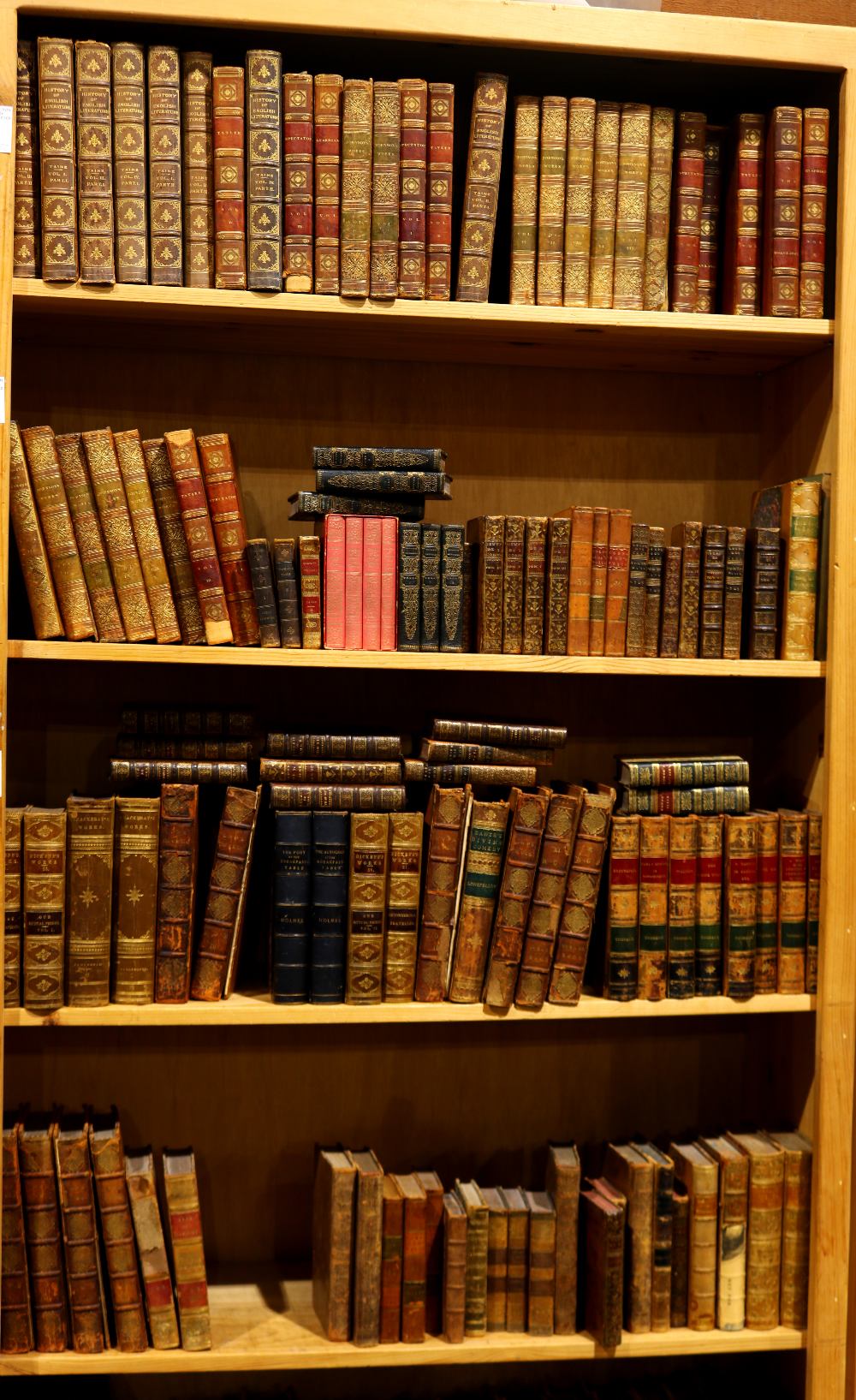 Four shelves of books, mostly relating to history and literature, including Dante's Divine Comedy,