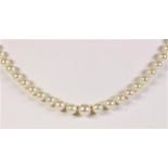 Cultured pearl and 14k white gold necklace Composed of (73) graduating 8 mm to 5 mm cultured pearls,