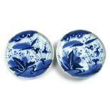 (lot of 2) Japanese blue-and-white plates, depicting plants on crackled ground, approx. 7.5"dia