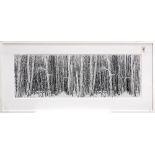 Aspen in Snow, 2014, inkjet photograph in black and white, signed "Steve Penerog" and dated lower