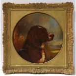 American School (19th century), Portrait of a Spaniel, oil on canvas, signed "B. A. Howard" lower