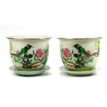 Pair of Chinese enameled porcelain planters, decorated with a pair of peacocks amid peonies,