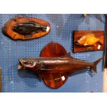 (lot of 3) Fish trophy group, consisting of a Cuban snapper, a Ling and a Species Unknown,
