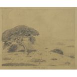 Marion Ida Kavanagh Wachtel (American, 1876-1954), "Scrub Oaks," 1919, graphite on paper, signed and