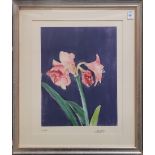 Forrest King Moses (American, 1893-1974), "Amaryllis," lithograph, pencil signed lower right,