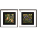 (lot of 2) Adria Peterson (American, 20th century), Pears and Plums, inkjet prints with gold