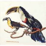 Frederic Whitaker (American, 1891–1980), Toucans, watercolor and gouache on artist board, signed