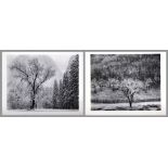 (lot of 2) After Ansel Adams (American, 1902-1984), "Tree and Snow, El Capitan Meadow, Yosemite" and