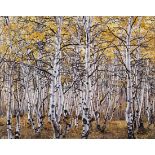 Christopher Burkett (American, b. 1951), Aspens II, chromogenic print, pencil signed on mat lower