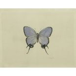 La Roche Laffitte (French, b. 1943), Butterfly, watercolor and silk, signed in pencil lower right,