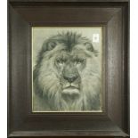 After Rosa Bonheur (French, 1822–1899), Lion, stipple engraving, plate signed and dated "1879,"