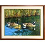 John Bradshaw (American, 20th century), Canadian Geese, 1990, oil on canvas, signed and dated